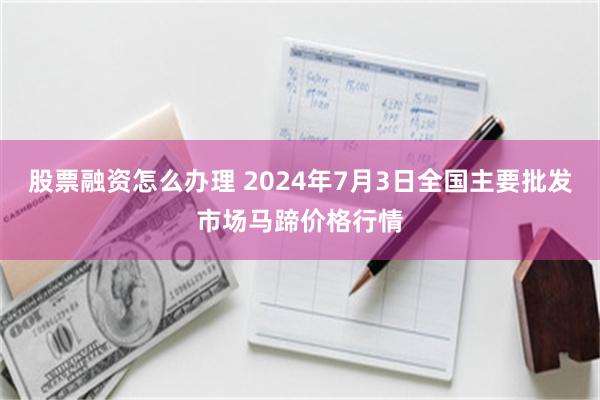 股票融资怎么办理 2024年7月3日全国主要批发市场马蹄价格行情