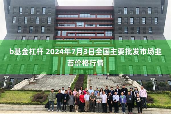 b基金杠杆 2024年7月3日全国主要批发市场韭苔价格行情