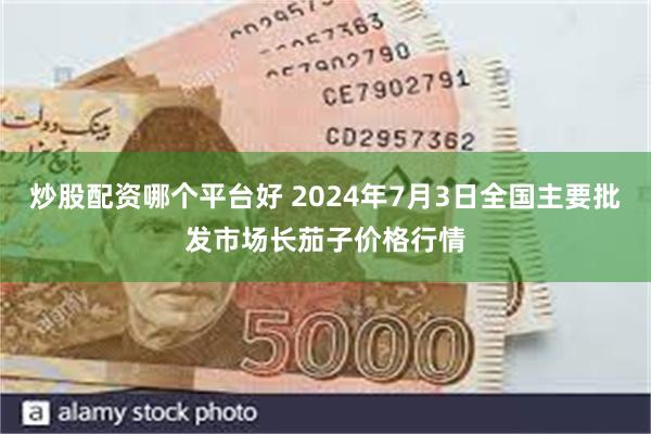 炒股配资哪个平台好 2024年7月3日全国主要批发市场长茄子价格行情