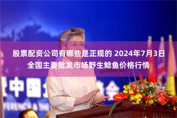 股票配资公司有哪些是正规的 2024年7月3日全国主要批发市场野生鲶鱼价格行情