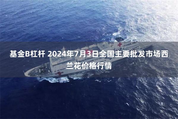 基金B杠杆 2024年7月3日全国主要批发市场西兰花价格行情