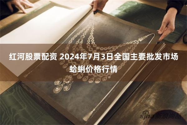 红河股票配资 2024年7月3日全国主要批发市场蛤蜊价格行情