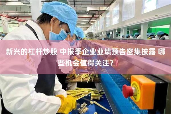 新兴的杠杆炒股 中报季企业业绩预告密集披露 哪些机会值得关注？