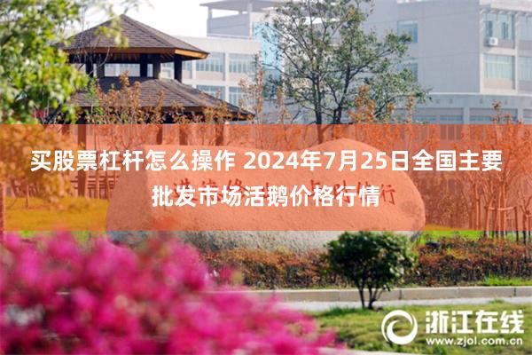 买股票杠杆怎么操作 2024年7月25日全国主要批发市场活鹅价格行情