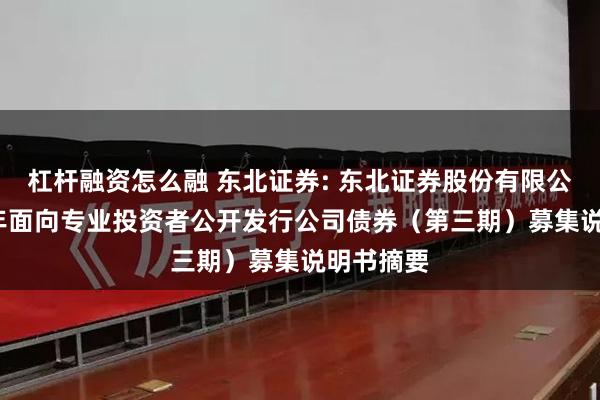 杠杆融资怎么融 东北证券: 东北证券股份有限公司2024年面向专业投资者公开发行公司债券（第三期）募集说明书摘要