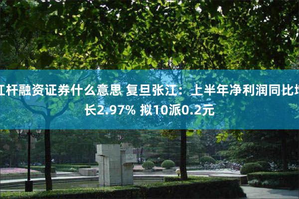 杠杆融资证券什么意思 复旦张江：上半年净利润同比增长2.97% 拟10派0.2元