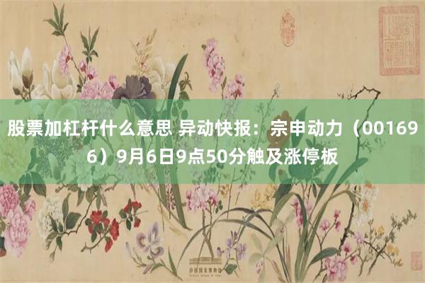 股票加杠杆什么意思 异动快报：宗申动力（001696）9月6日9点50分触及涨停板