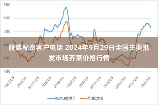 股票配资客户电话 2024年9月29日全国主要批发市场芥菜价格行情