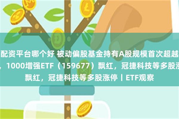 配资平台哪个好 被动偏股基金持有A股规模首次超越主动偏股基金，1000增强ETF（159677）飘红，冠捷科技等多股涨停丨ETF观察