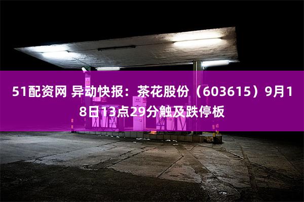 51配资网 异动快报：茶花股份（603615）9月18日13点29分触及跌停板