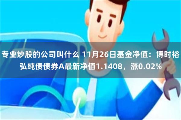 专业炒股的公司叫什么 11月26日基金净值：博时裕弘纯债债券A最新净值1.1408，涨0.02%