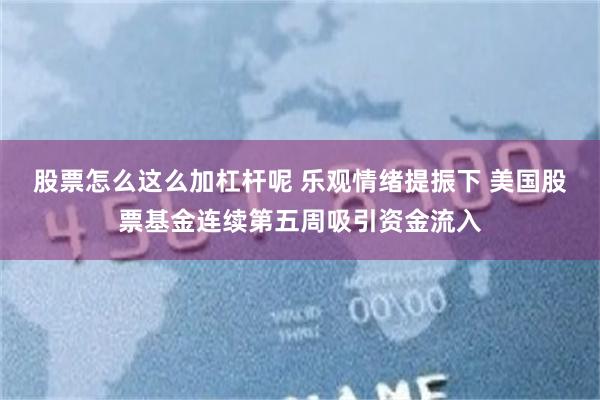 股票怎么这么加杠杆呢 乐观情绪提振下 美国股票基金连续第五周吸引资金流入