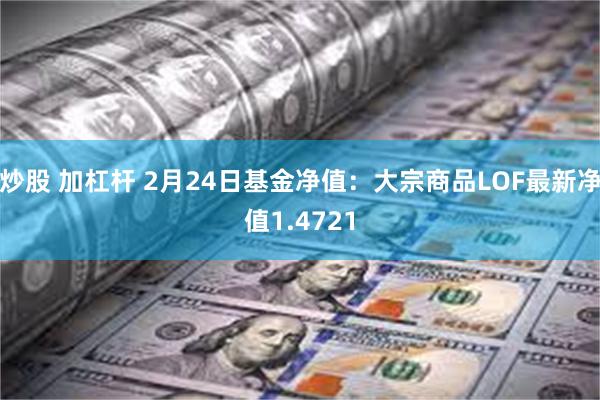 炒股 加杠杆 2月24日基金净值：大宗商品LOF最新净值1.4721