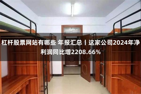 杠杆股票网站有哪些 年报汇总丨这家公司2024年净利润同比增2208.66%