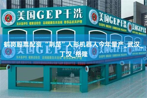 鹤岗股票配资 “荆楚”人形机器人今年量产_武汉_丁汉_格隆